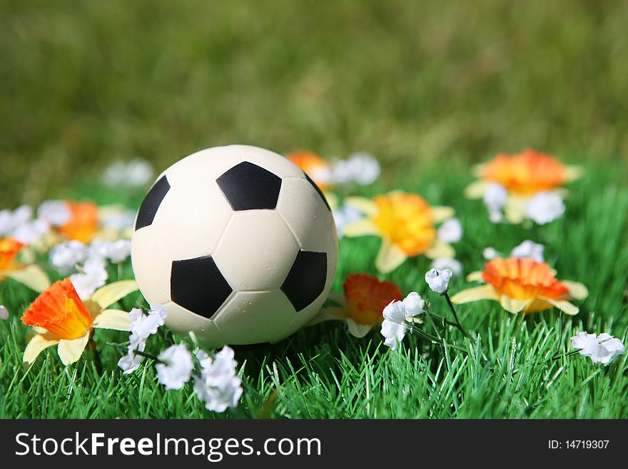 Soccer ball in a field with flowers