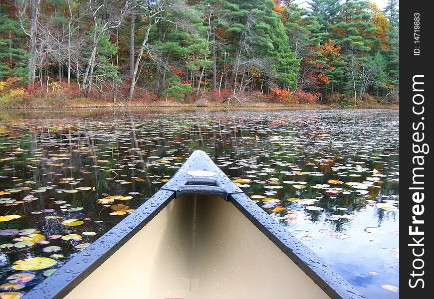 Bow of canoe heads towards distant autumn shore through scattered lilypads. Bow of canoe heads towards distant autumn shore through scattered lilypads.
