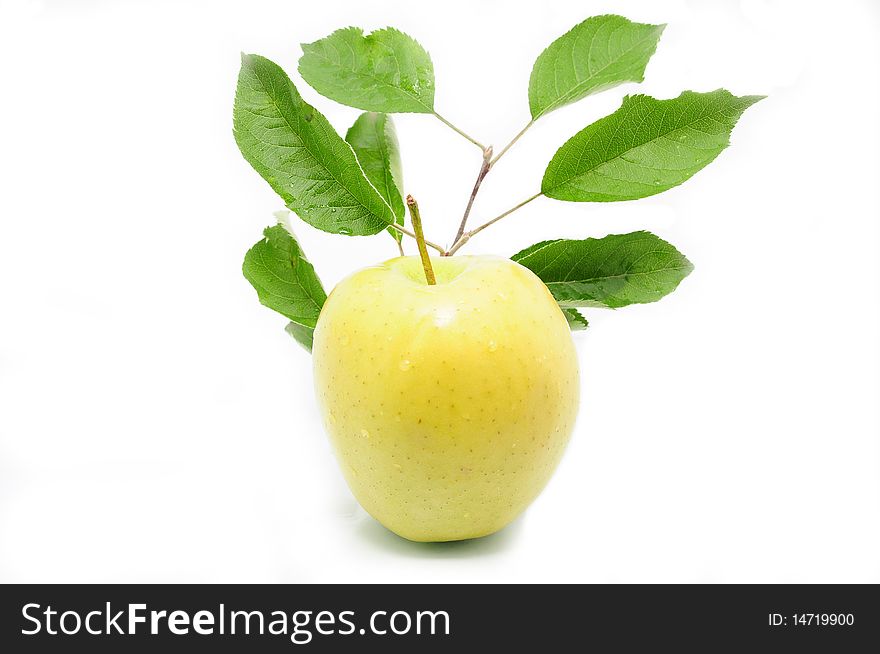 Yellow apple with a list of the background. Yellow apple with a list of the background