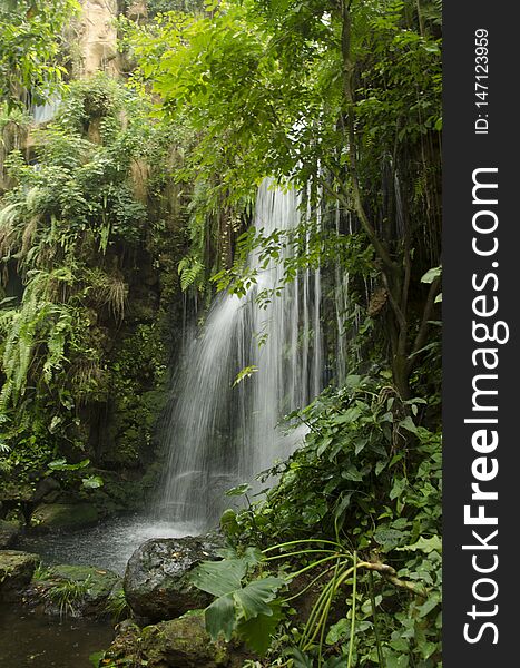 Waterfall in deep forest, green grass, stones, trees