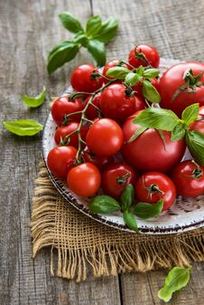 Plate With Tomatoes Stock Image