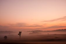 Color Of Sunrise Royalty Free Stock Photography