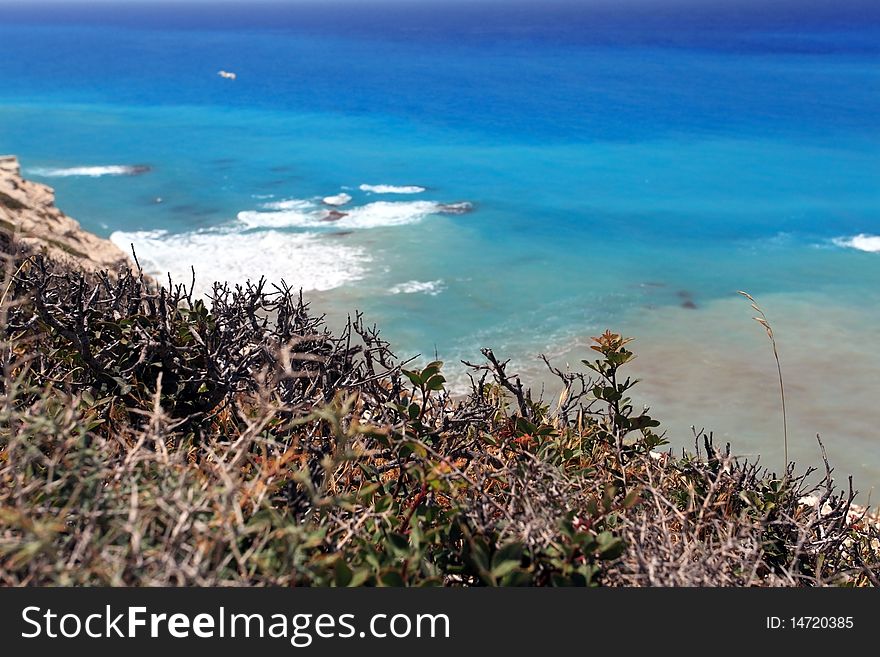 Grass on cliff.