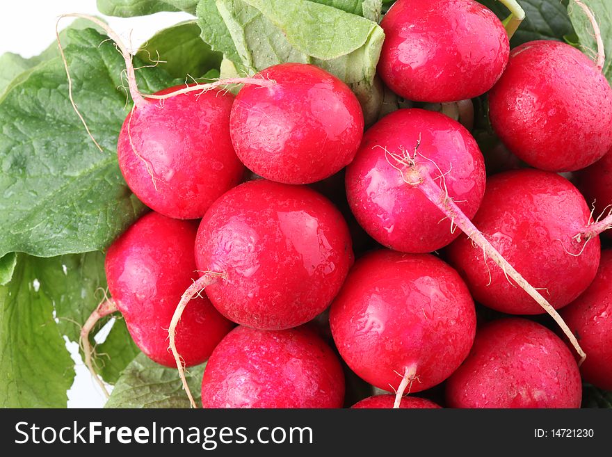 Bunch of radishes close up