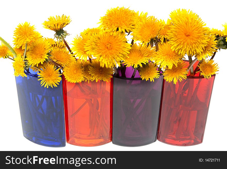 Yellow dandelions in glass colour vase on white background