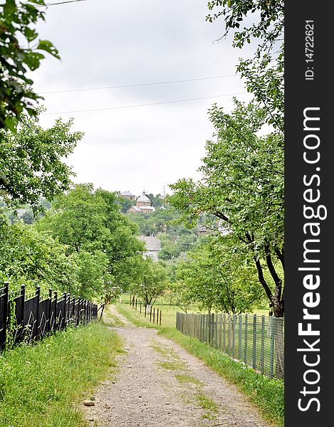 A road in Ukrainian village in summer. A road in Ukrainian village in summer