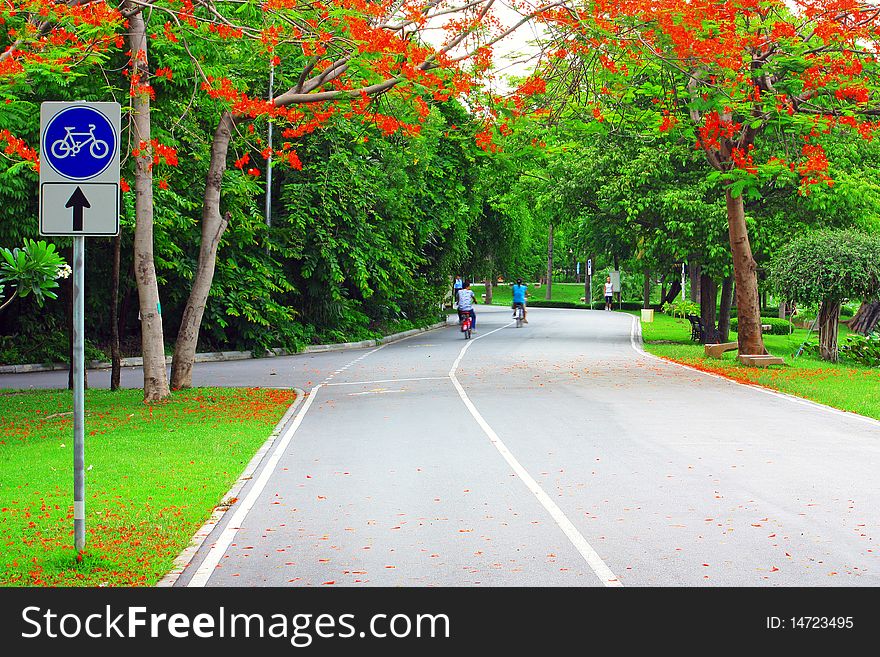 The way on beautiful green park in the city.