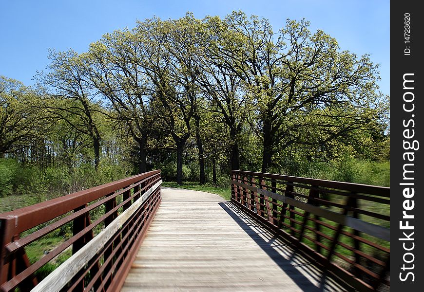 Walking path in the forest preserve. Walking path in the forest preserve