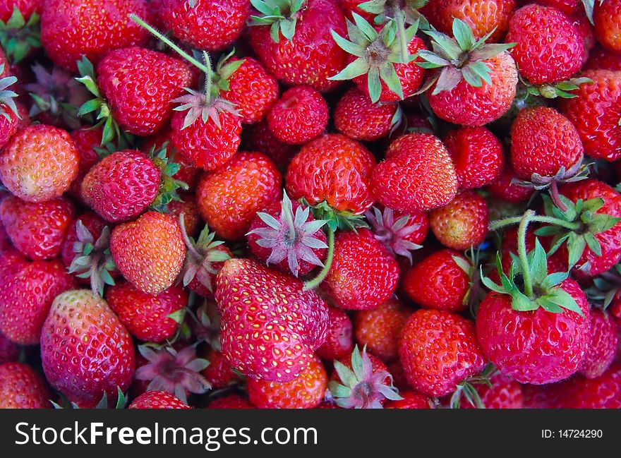 Freshly-picked flat of red ripe strawberries. Freshly-picked flat of red ripe strawberries