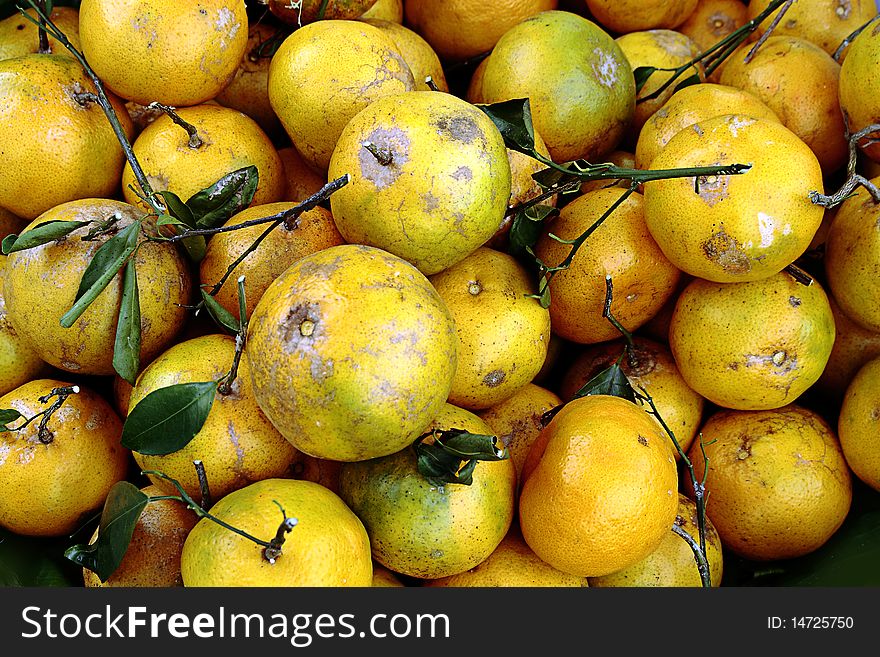 Orange popular fruit for anyone. Orange popular fruit for anyone