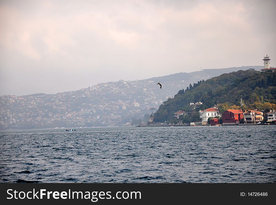 Sea side in bosporus birds are flying. Sea side in bosporus birds are flying