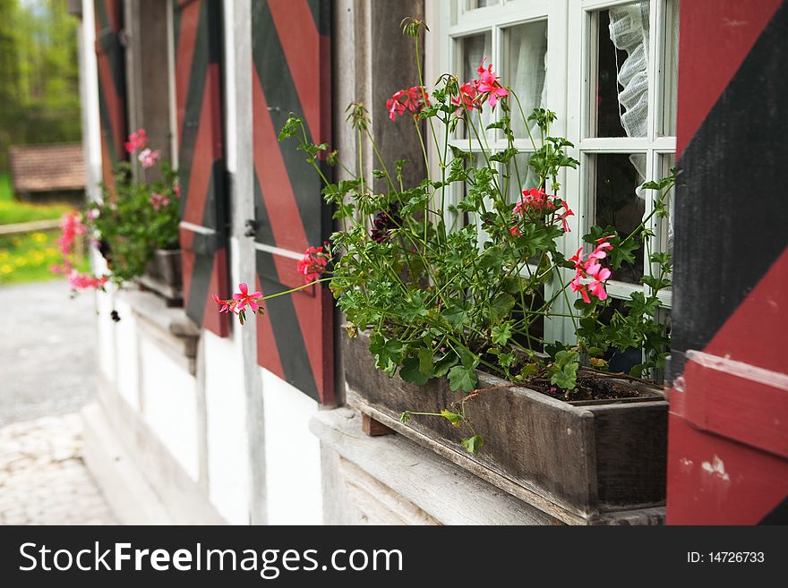 Traditional house window with shutters and geranium box. Traditional house window with shutters and geranium box.