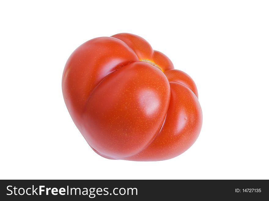 Red tomato is on the white background