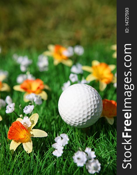 Golf ball in a field with flowers