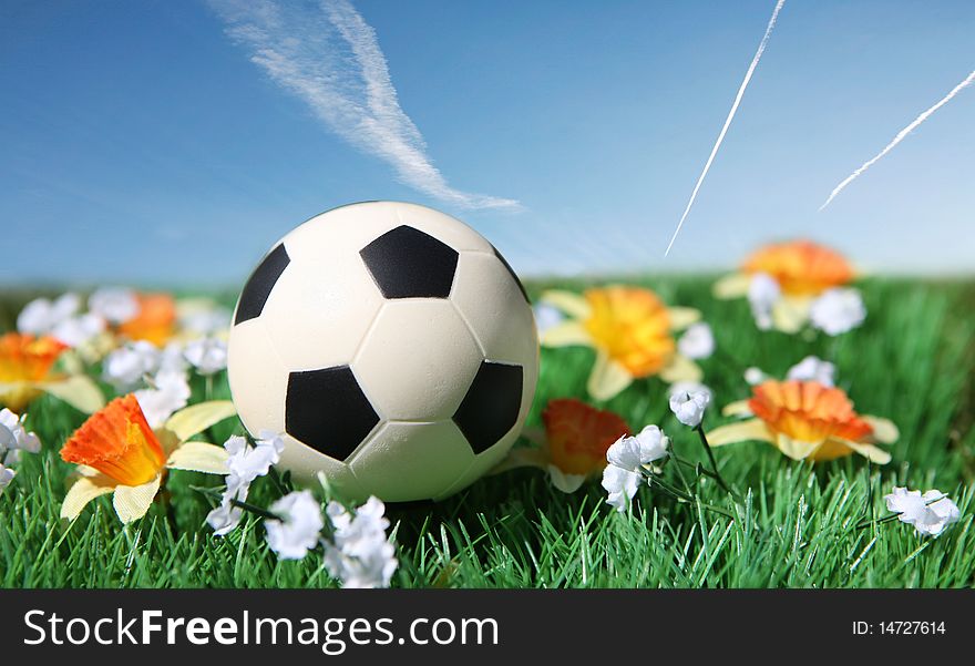 Soccer ball in a field with flowers