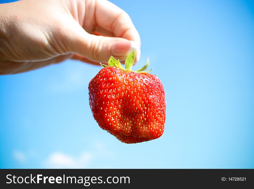 Red strawberry in the hand and blue sky