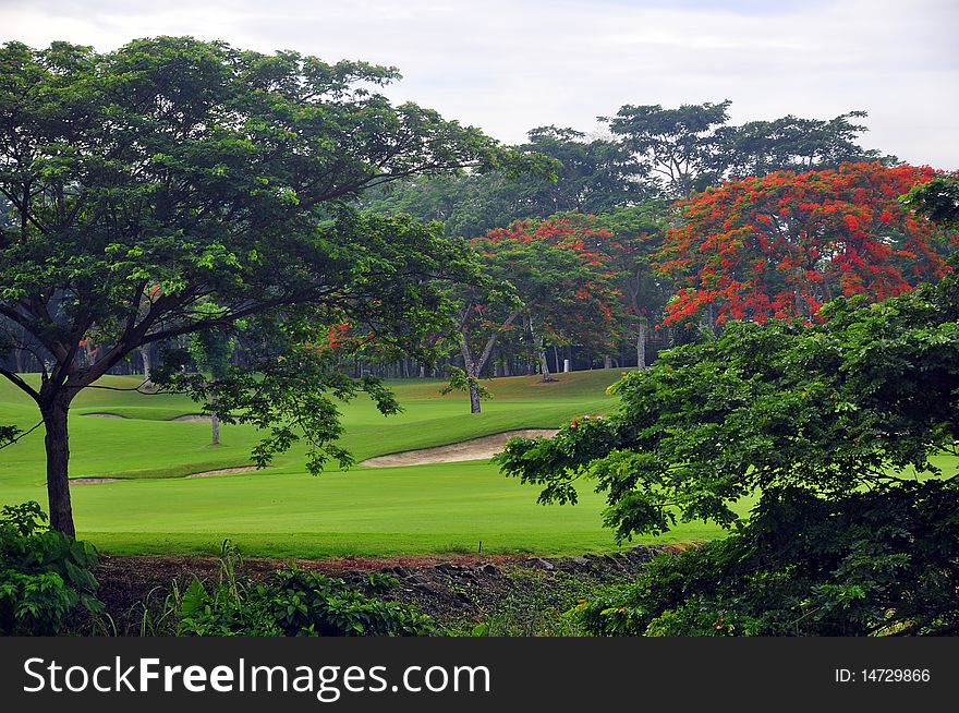 A beautiful golf course in the Philippines. A beautiful golf course in the Philippines