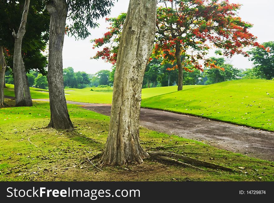 A beautiful golf course in the Philippines. A beautiful golf course in the Philippines