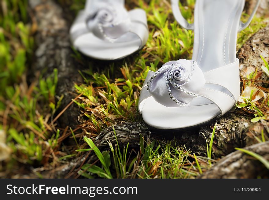 Wedding shoes under a tree and surrounded by grass