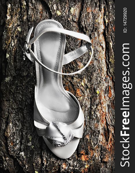 Wedding shoes on a trunk of a big tree