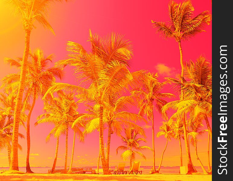 Rich and colourful landscape. Beach holiday. Palm trees against the sky. The sunbeds on the sand. Summer vacation