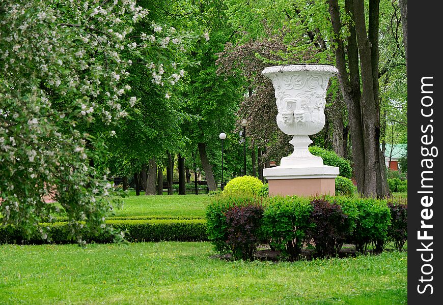 Beautiful young greens in the city park. GOMEL, BELARUS