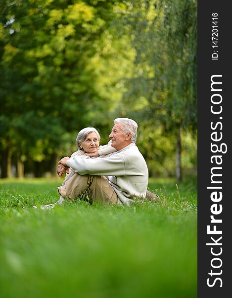 Portrait of elderly couple sitting on green grass in the summer park