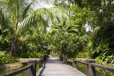Wooden Bridge Stock Image