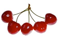 Five Sweet Cherries Stock Image