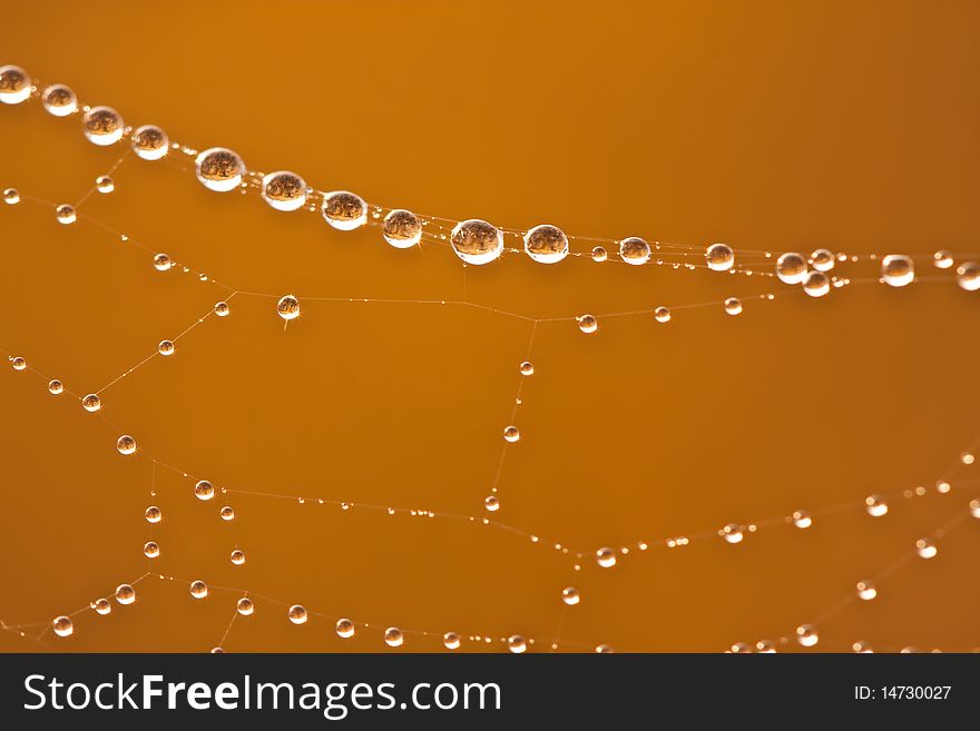 Dew drop at cobweb on morning image. Dew drop at cobweb on morning image