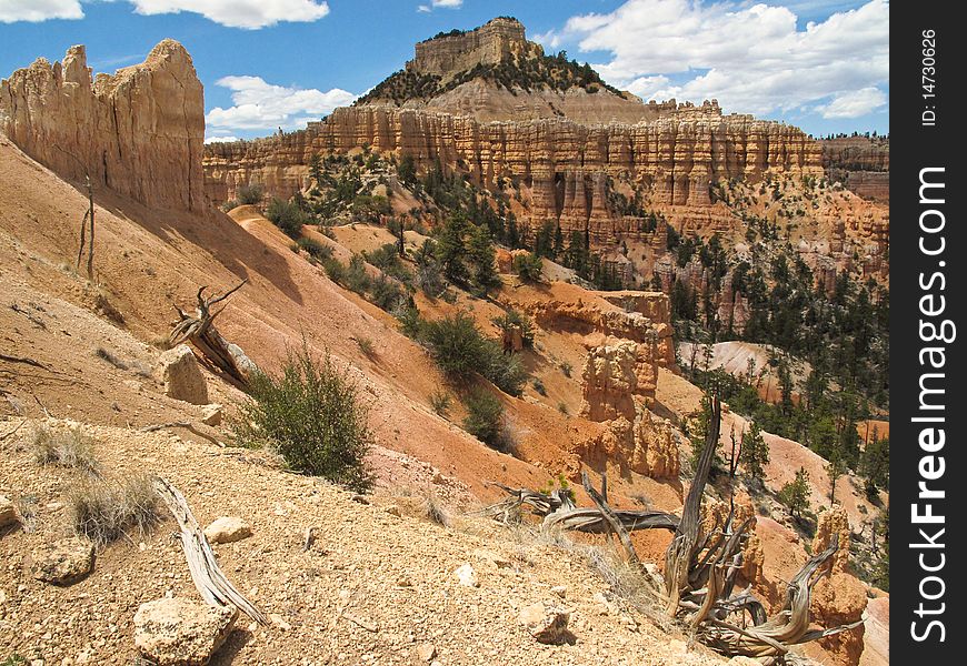 Deep Inside Bryce Canyon