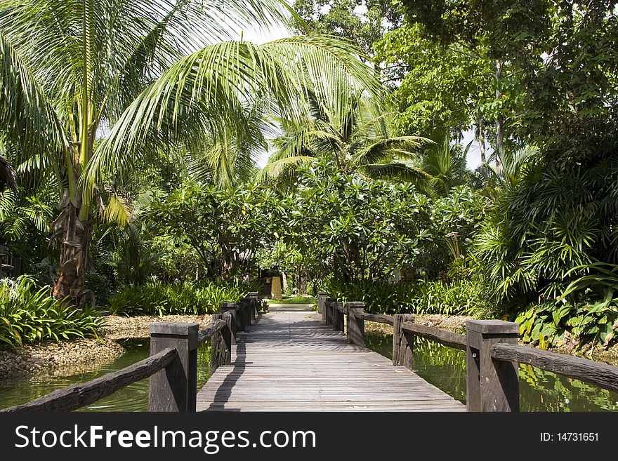 Wooden bridge through a tropical forest in Thailand