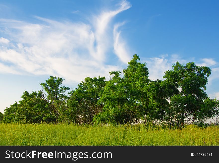 Beautiful summer landscape on a sunny day. Beautiful summer landscape on a sunny day