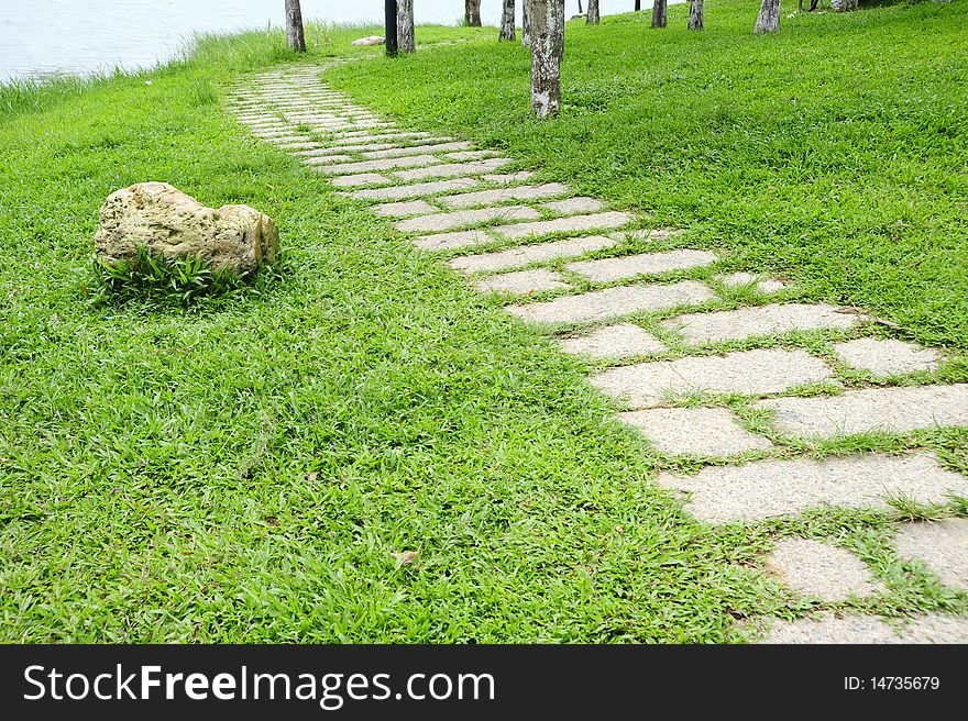 The road in garden, with green grass.