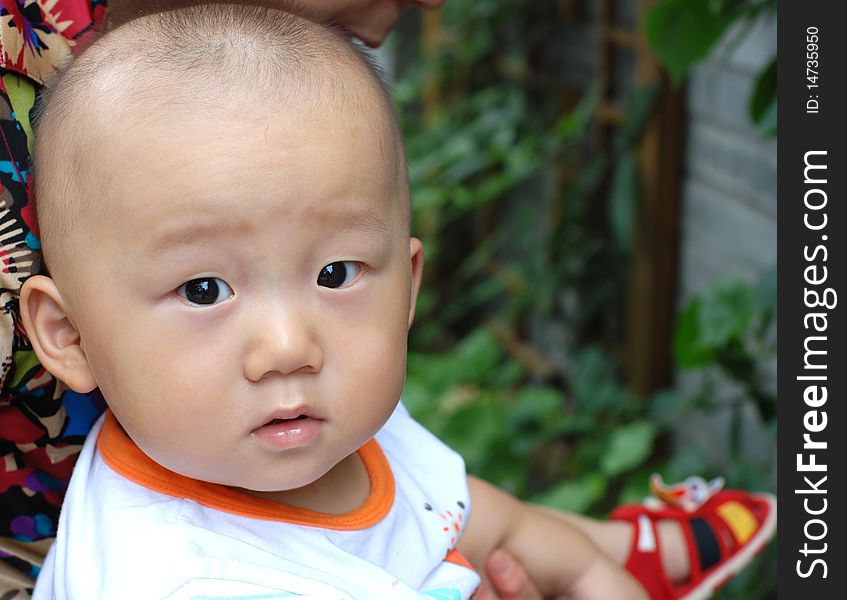 Cute asian baby boy in park. Cute asian baby boy in park