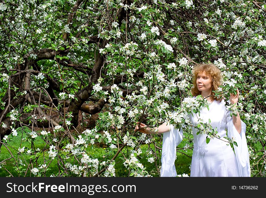 A blonde girl in white dress among white flowers. A blonde girl in white dress among white flowers