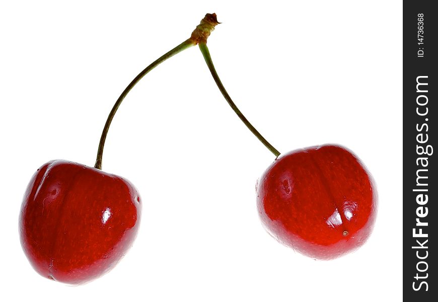 Two sweet cherries on white background