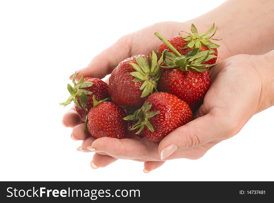 Lot of sweet strawberry in hands