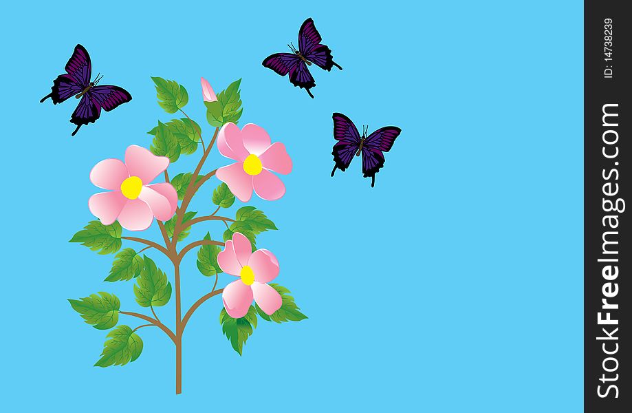 Flowers And Butterflies. Vector.