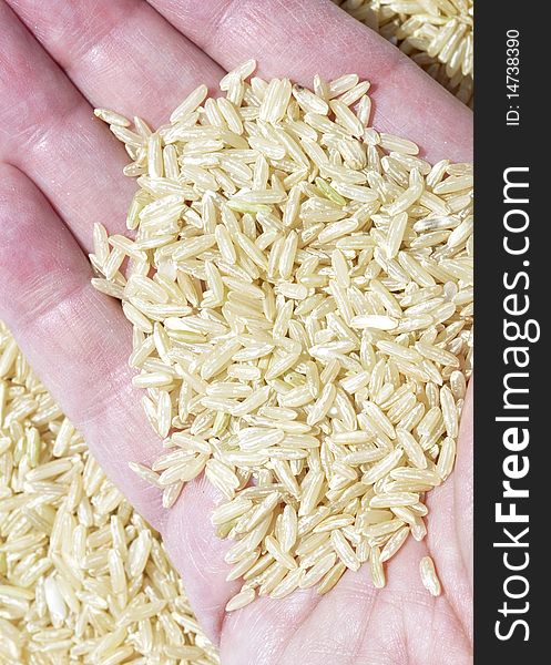 Food aid concept showing rice in male hand. Food aid concept showing rice in male hand