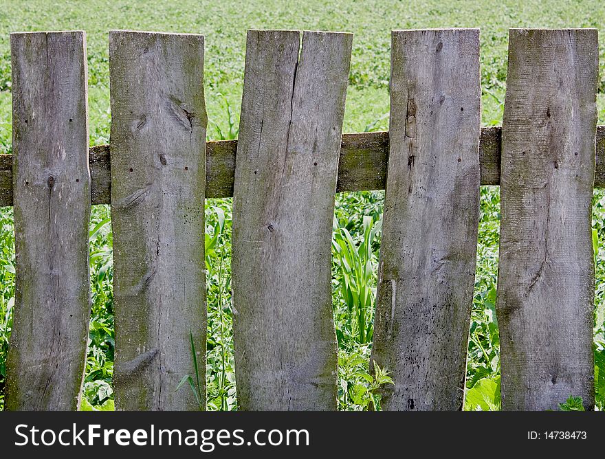 Rural  wooden fence on a grass background