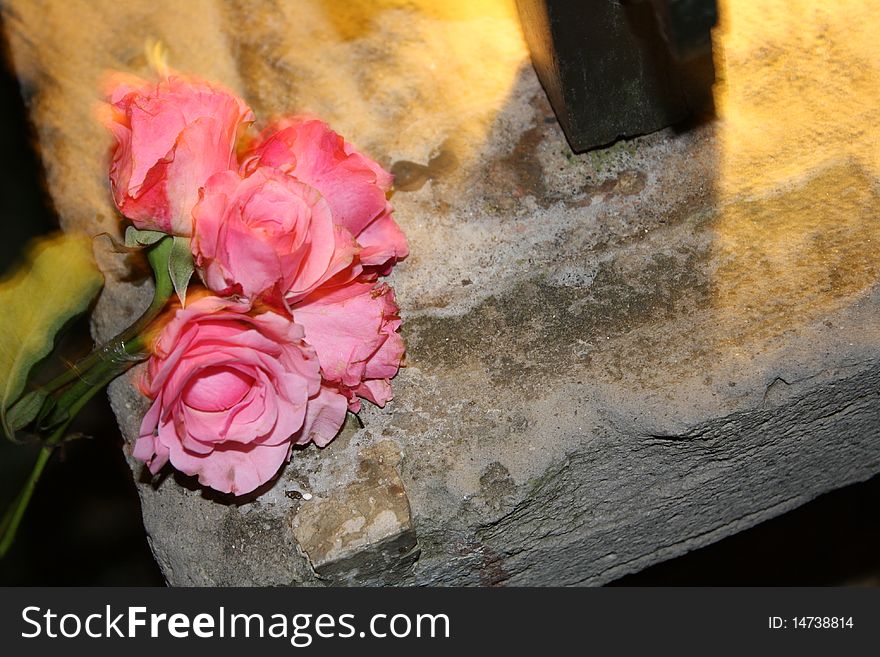 Some stem of pink flowers above the stone. Some stem of pink flowers above the stone