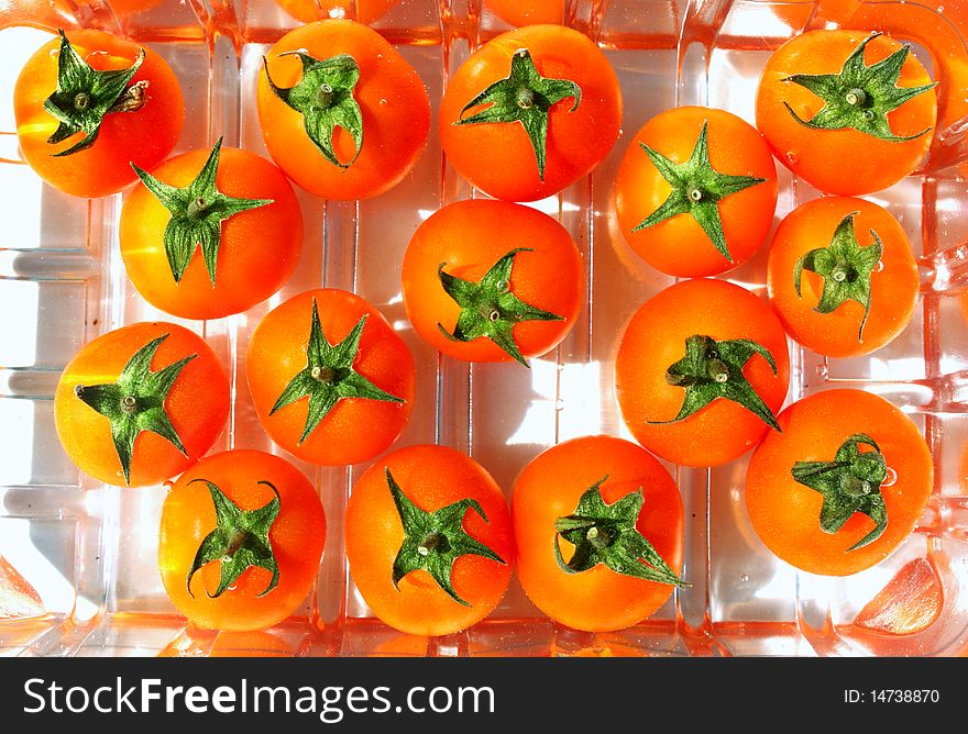 A group of tomatoes sitting in a plastic tray viewed from above.