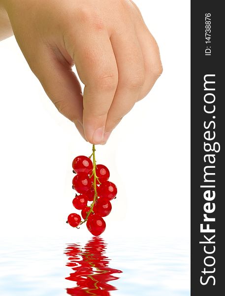 Red currant in hand