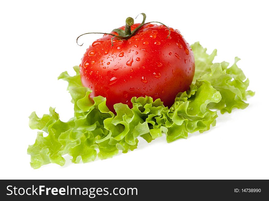 Red juicy tomato with litho of the salad on white background