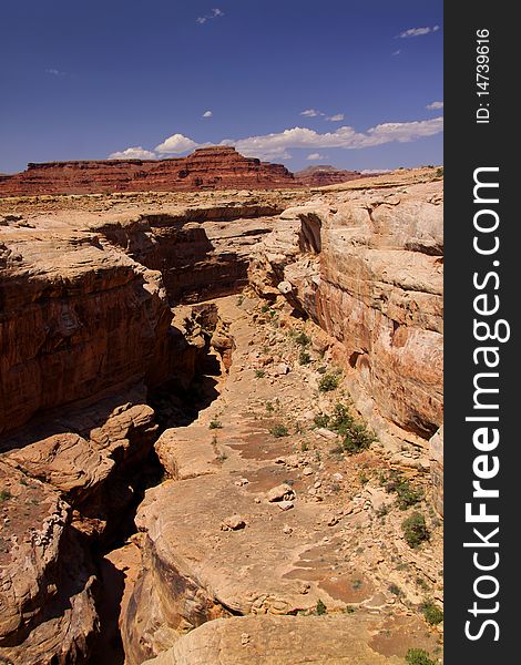 Colorado river canyon formations in southern Utah