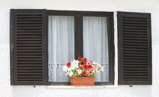 Window With Flowers Stock Photo Window With Flowers Stock Photo