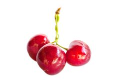 Sweet Cherries Royalty Free Stock Photography