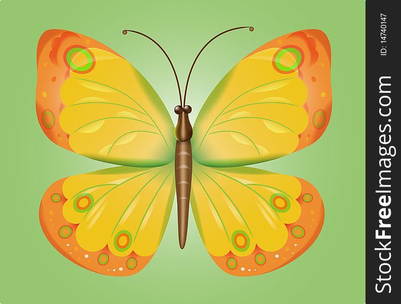 abstract butterfly, vector isolated on a green background