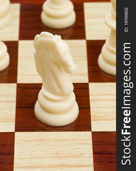 White horse on the chess desk close-up. White horse on the chess desk close-up